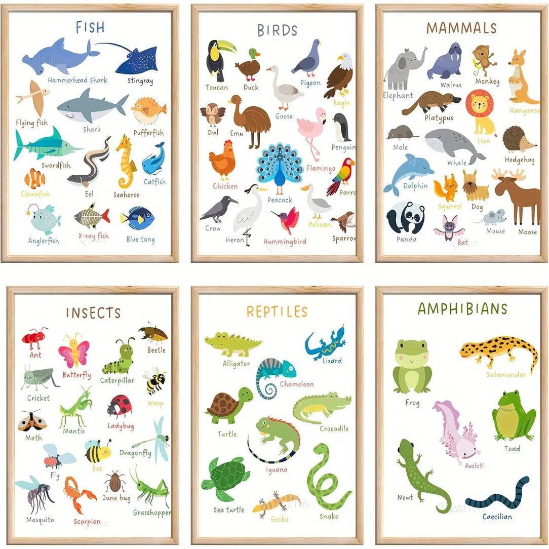 6pcs Educational Preschool Posters Set - Laminated, Waterproof Animal Kingdom Wall Charts | Frameless, 8X10 Inch - Fish, Bird